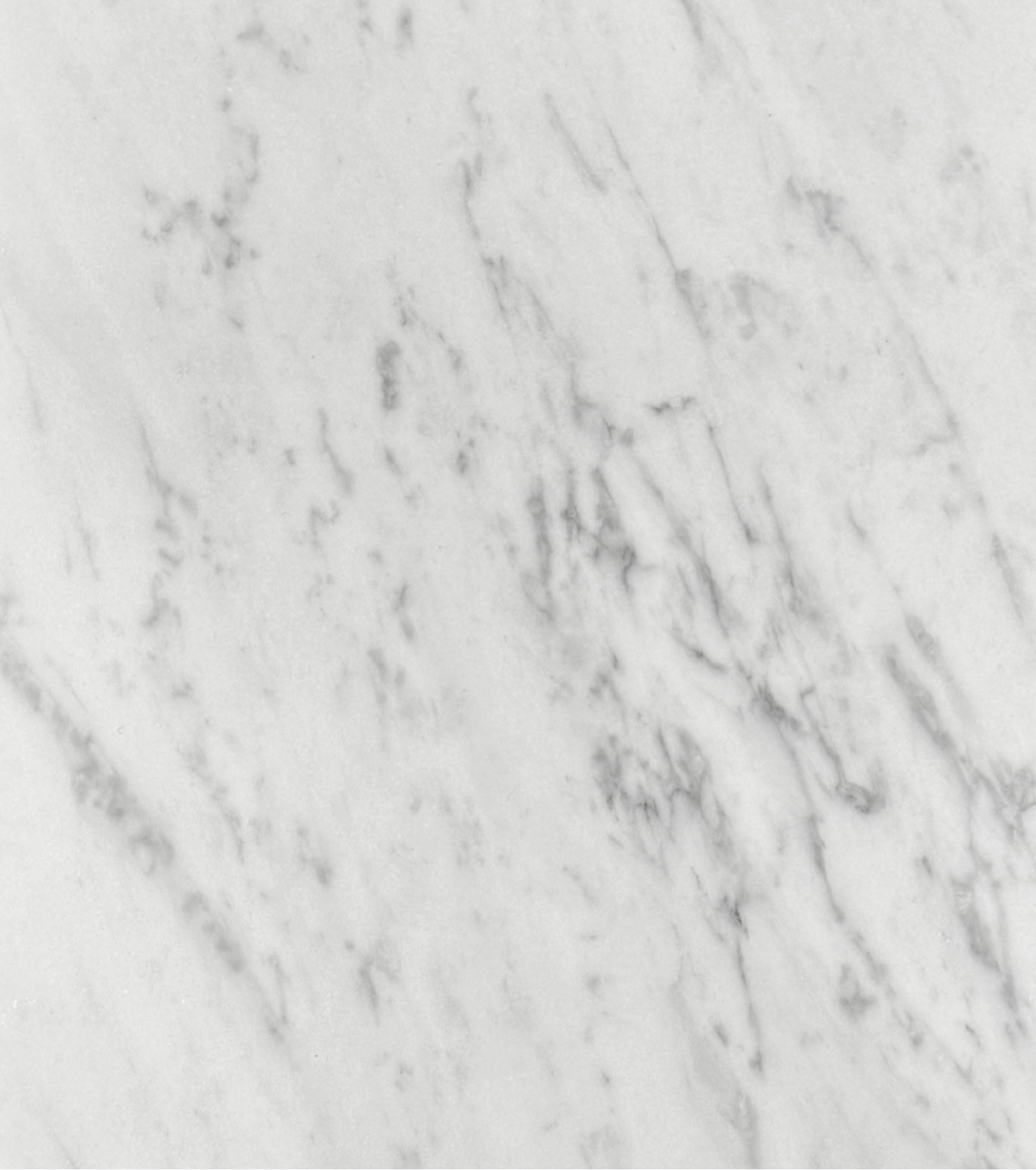 Carrara Marble - Stone Tiles - Honed