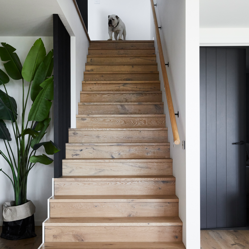 Bridgeport - European Oak Timber
